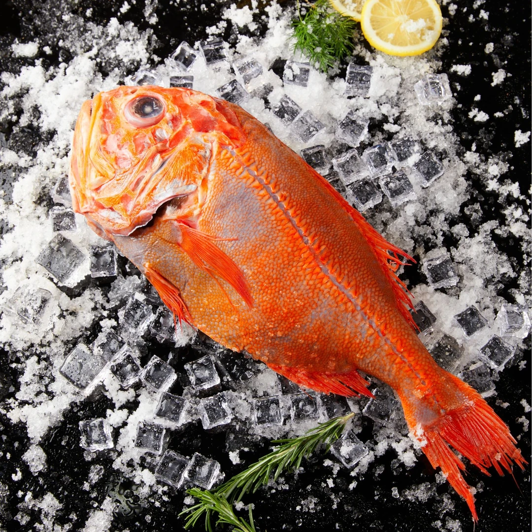 海派洋鲜新西兰速冻锁鲜深海长寿鱼顺丰冷链1kg