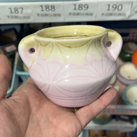 ［所有订单凑满15明天发］7×8