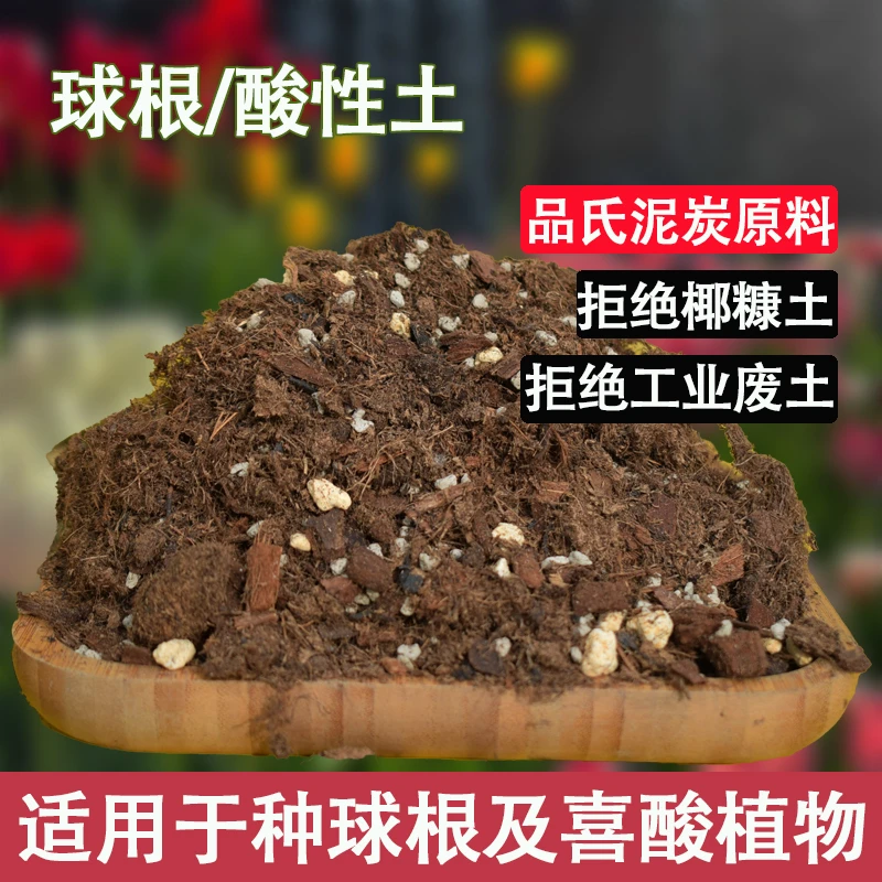 球根宿根植物专用土喜酸植物酸性土朱顶红百合栀子花茶花营养花土