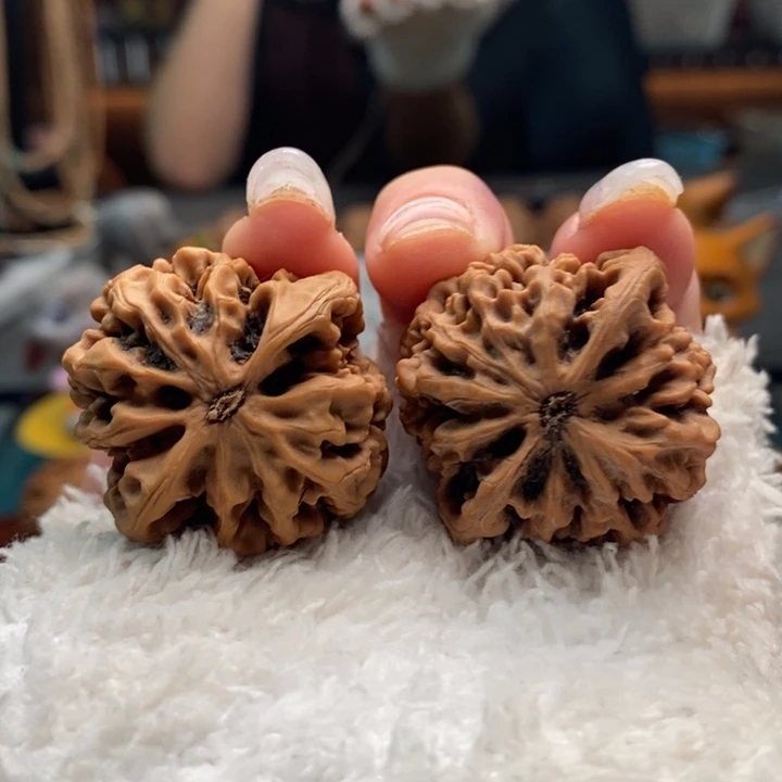 核桃3号 35尺秦闷 头货 全品