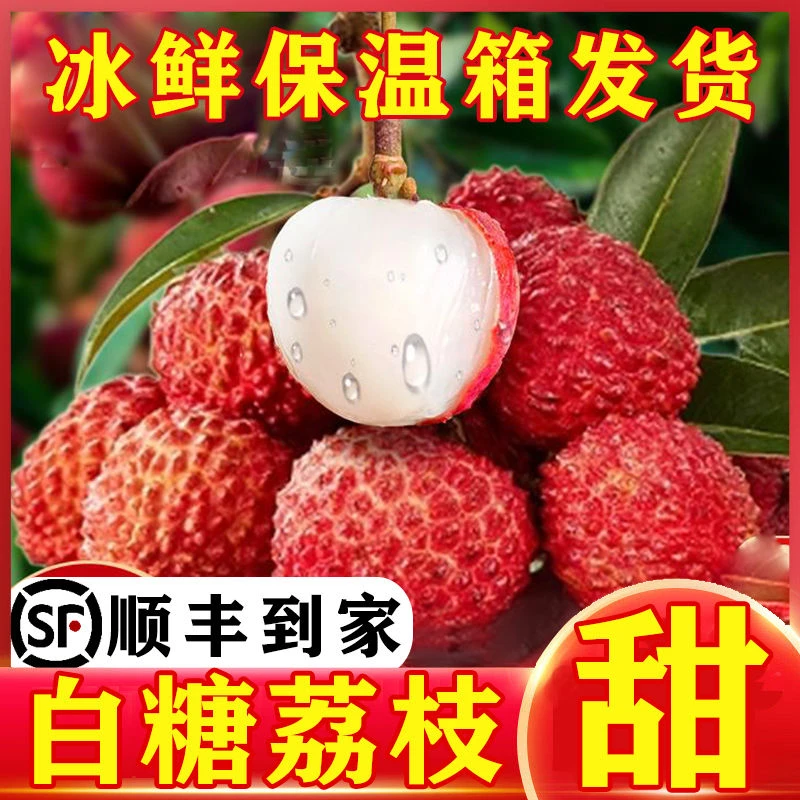 【顺丰冷链】正宗现摘白糖罂荔枝新鲜当季荔枝现货一大箱