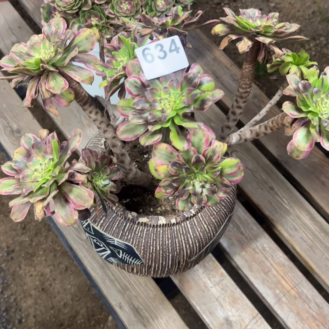 我是真的很喜欢这个