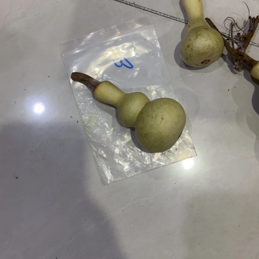 农***范青皮不包成青皮不包成