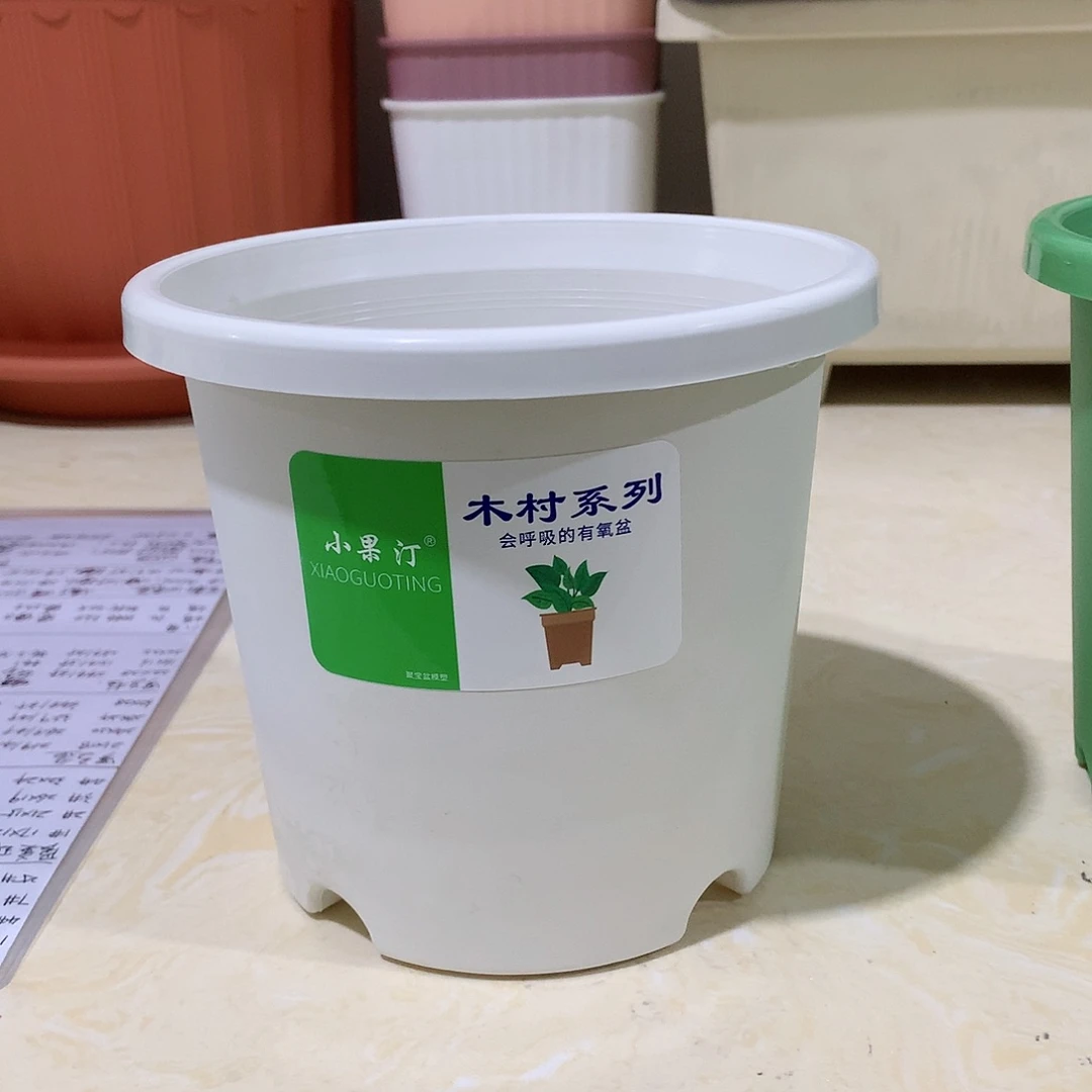 树脂四季口15白10个无托