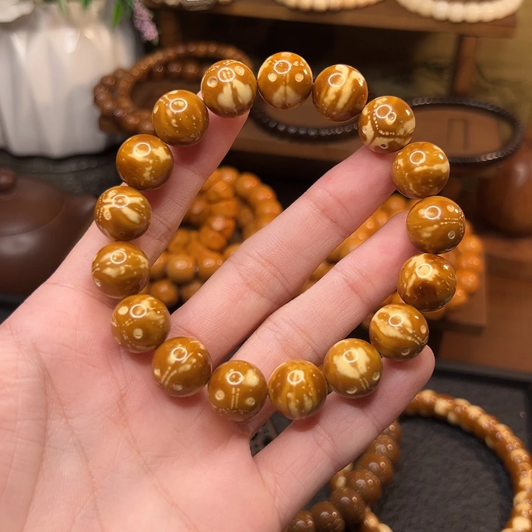 手串菩提根/象牙果