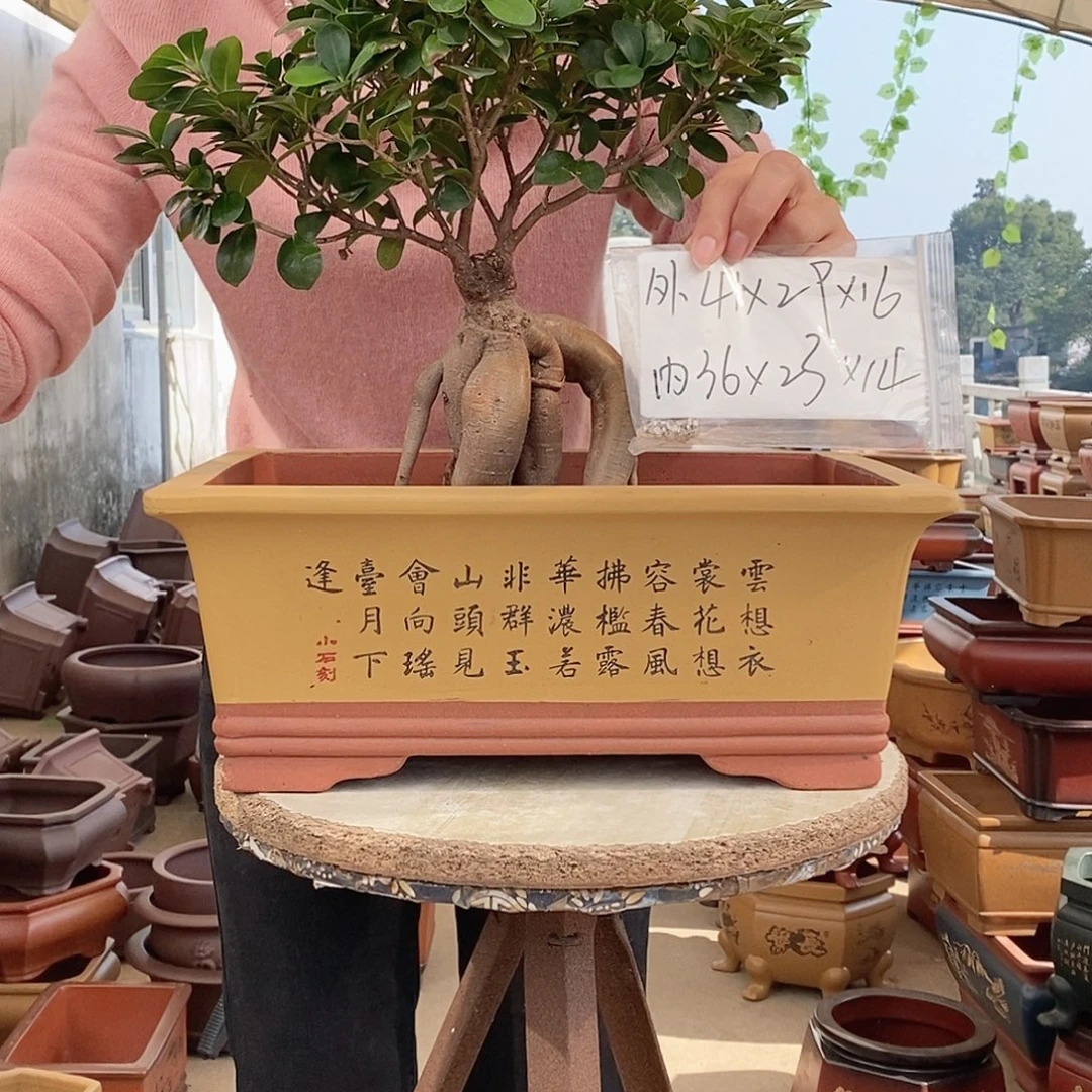 紫砂花盆紫砂花盆