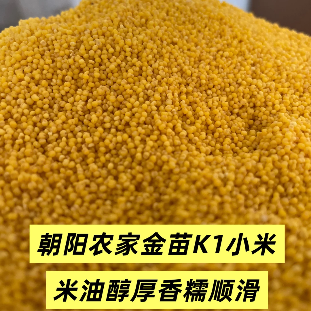 25年朝阳农家小米 米油醇厚 香糯顺滑