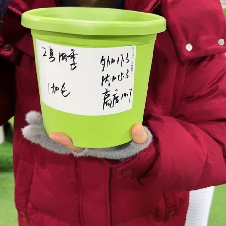 特价四季2号口17高14果绿色无托10只