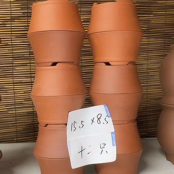 紫砂花盆我在外面