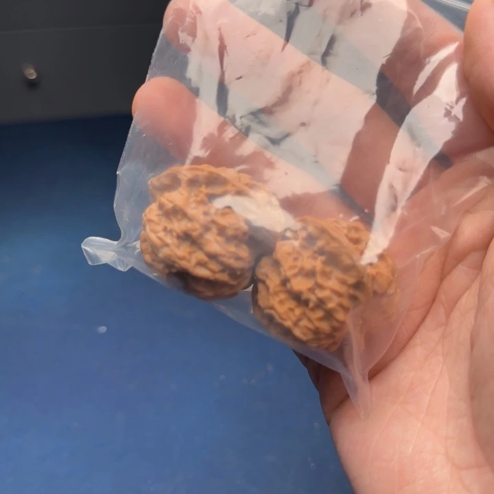 L蓟县火桃定向28号