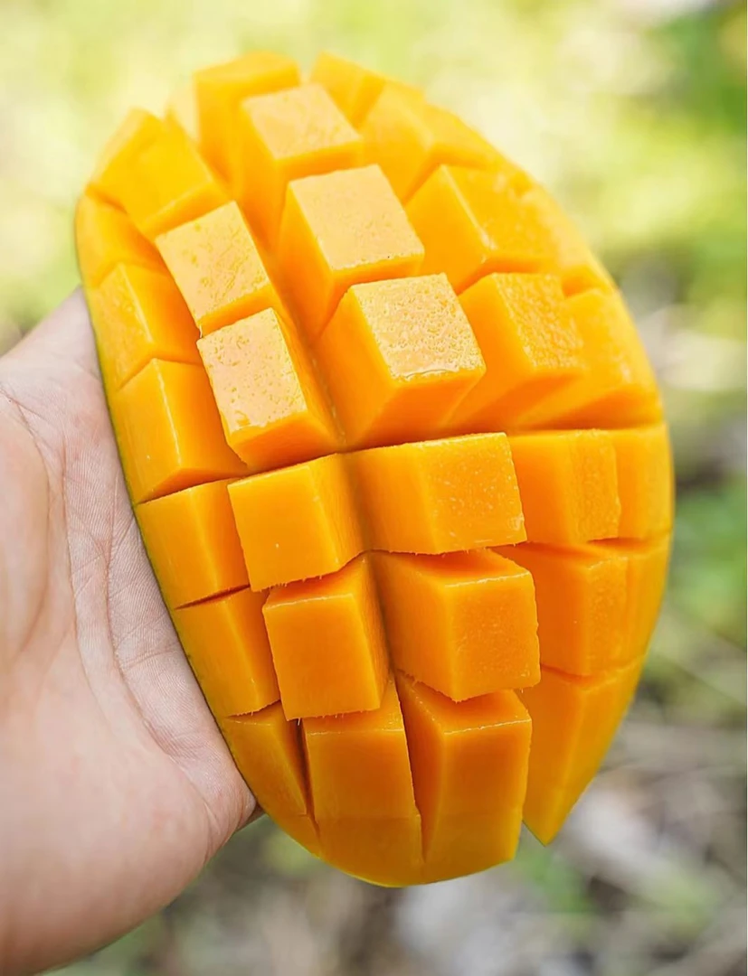 C金煌芒带箱9-10斤净重8斤催熟食用应季水果海南直发