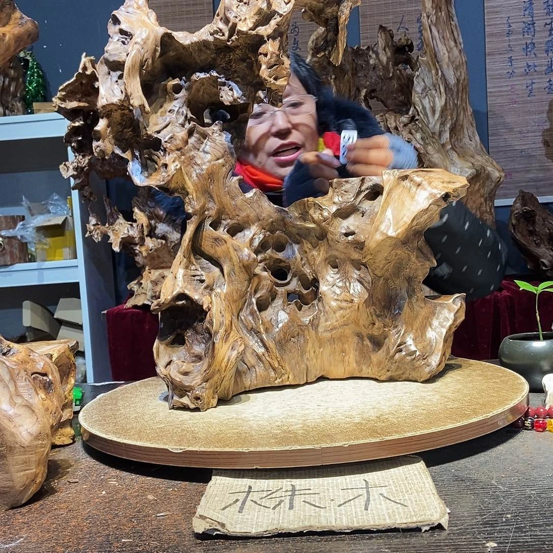 M***X503。株木随行根艺