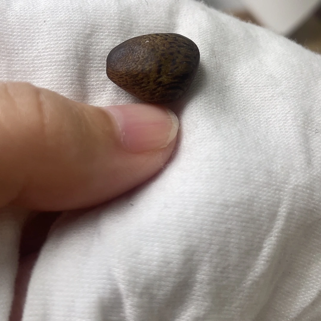 南红玛瑙未镶嵌配饰
