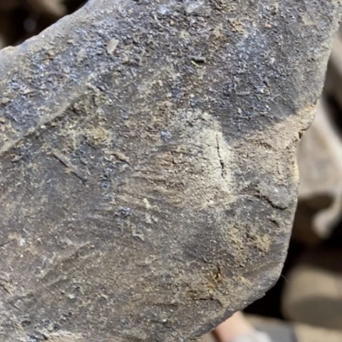 阿***0贡木把件定制12399886578