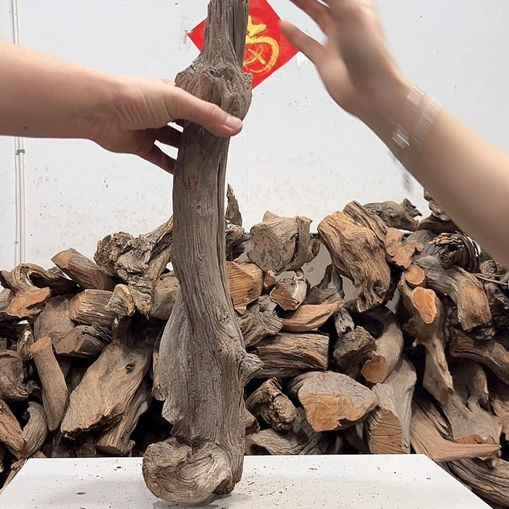 柏木百*崖我们的生活也是如此的丰富多彩