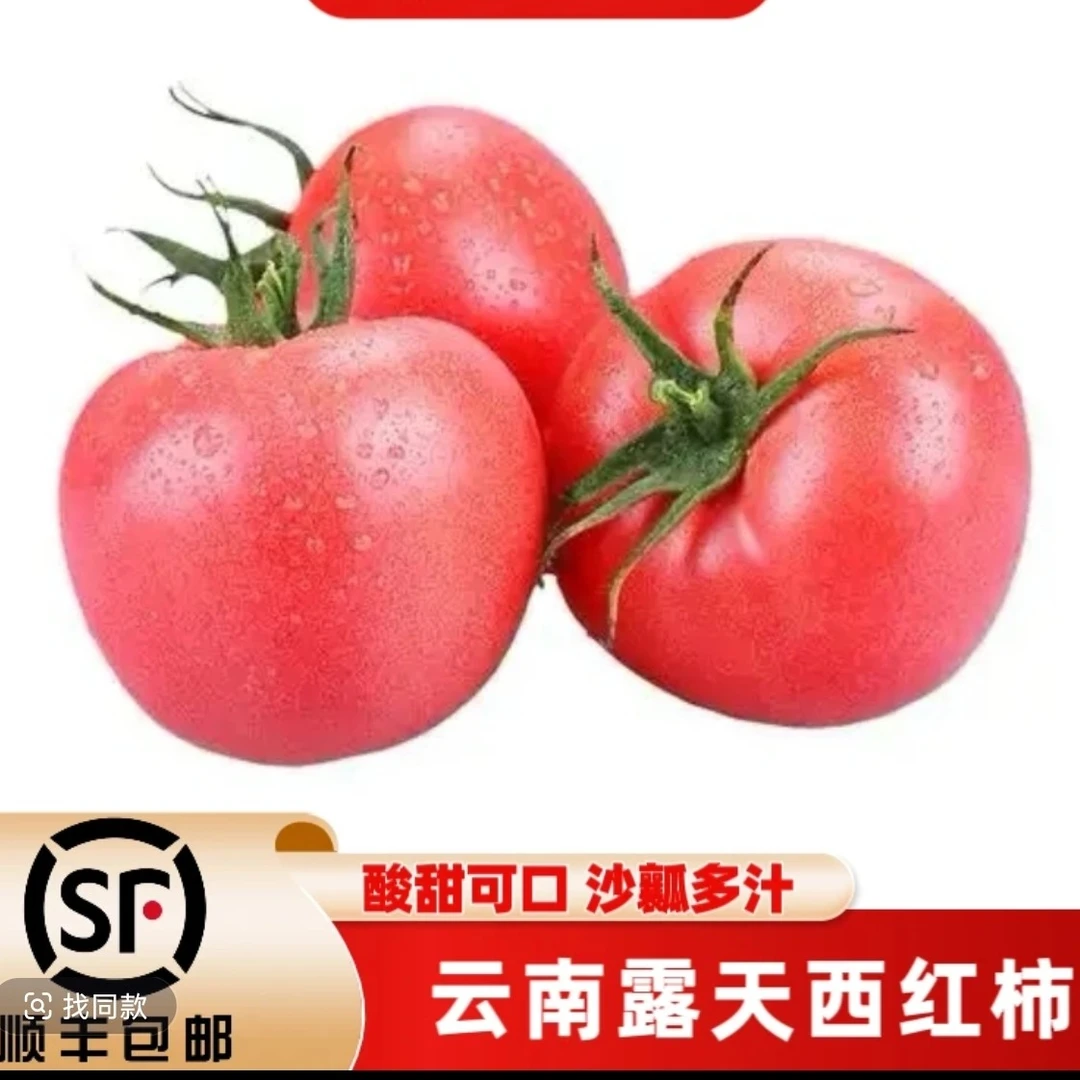 [顺丰包邮]云南陆良西红柿自然熟番茄陆良蔬菜产地直发