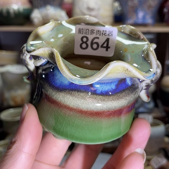 狼盆小口径7高度5