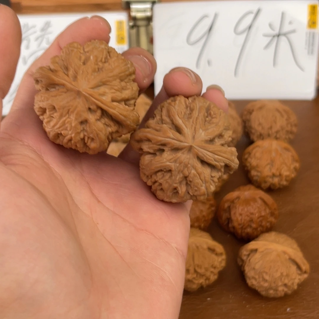 大叶紫檀（黑酸枝木类）全品粗筋