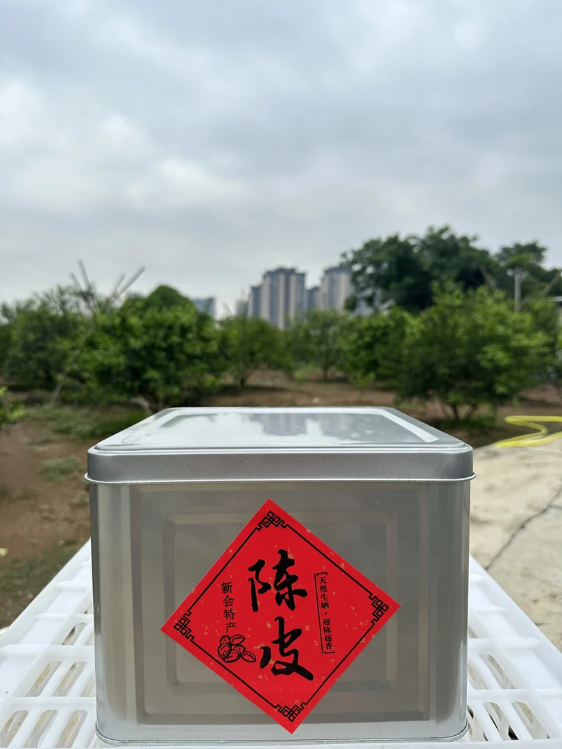 【三江圈枝】新会陈皮2019年三江深吕圈枝青皮 泡水泡茶