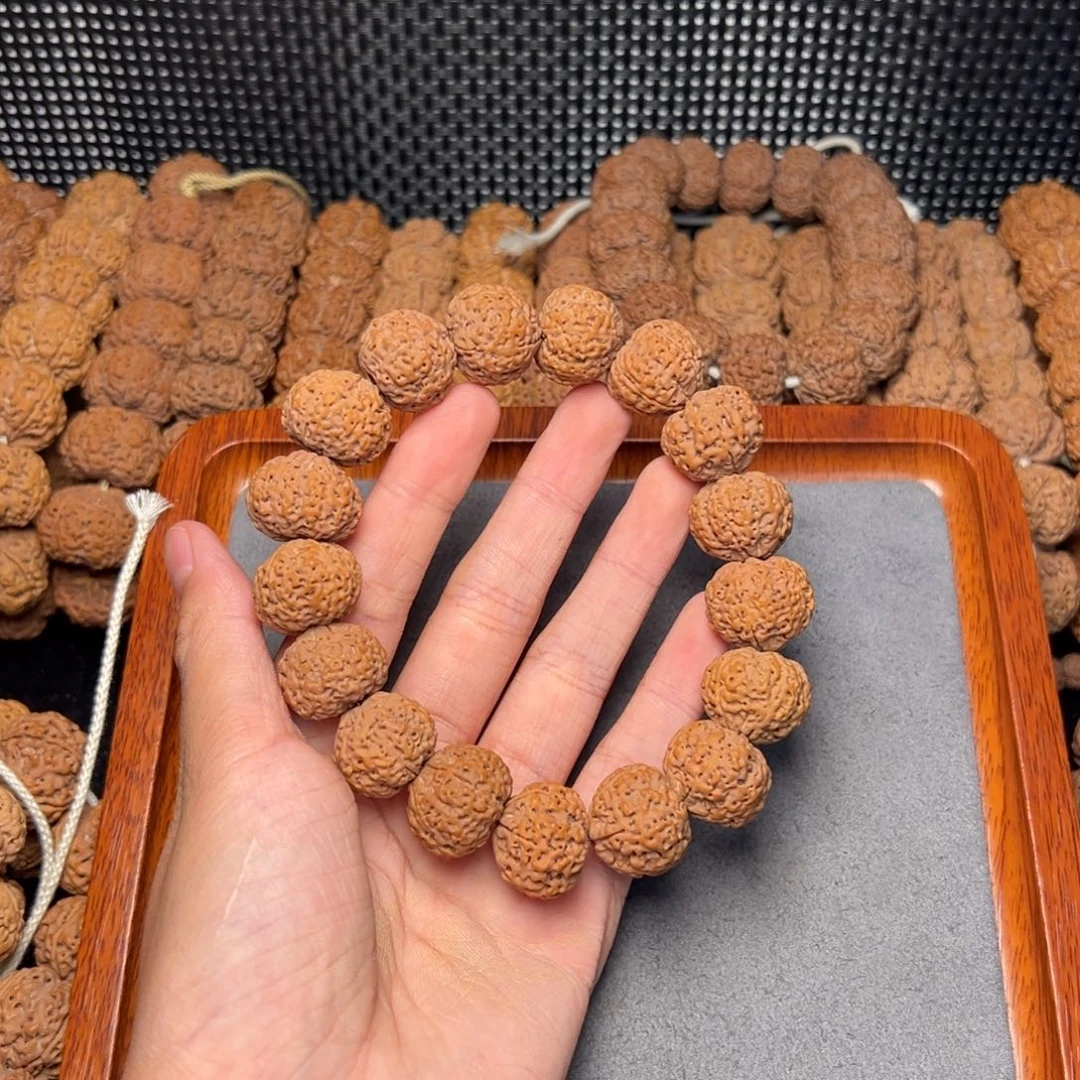 菩提14号尼泊尔大金刚20五星菠萝蜜