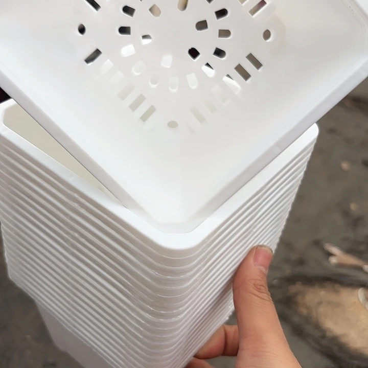 120白方盆11公分高8公分15个