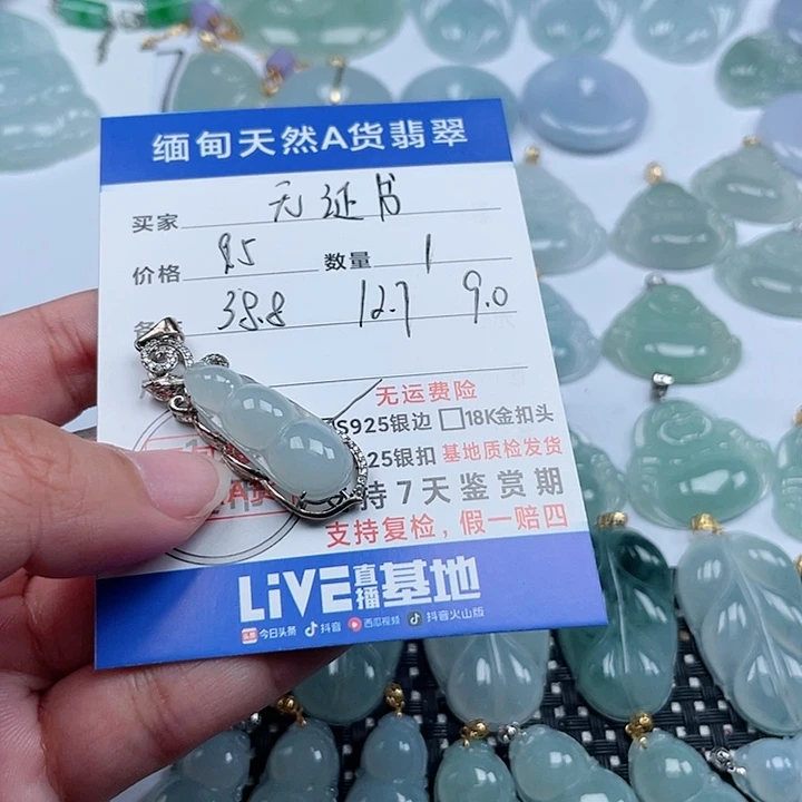 翡翠颈饰银S925镶嵌天然翡翠吊坠