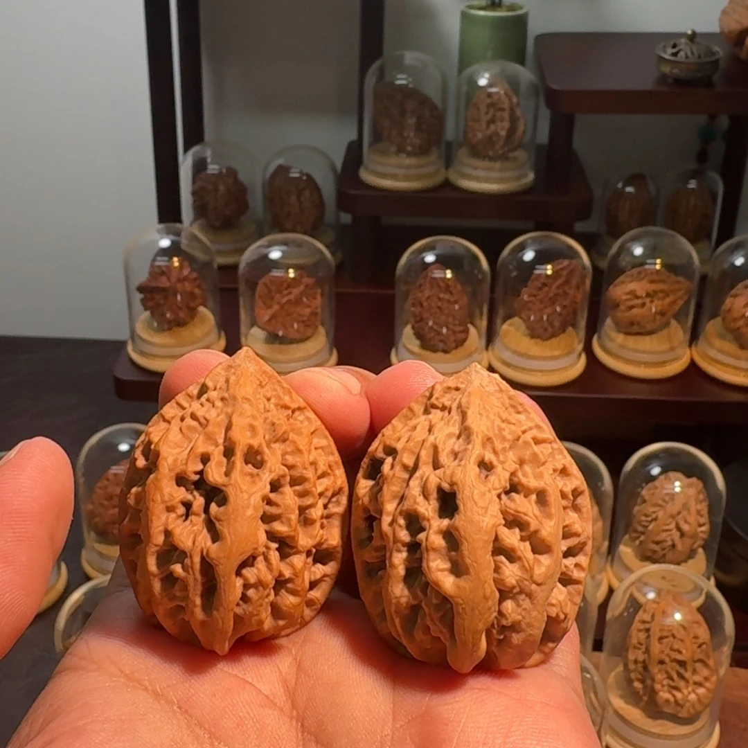 文玩核桃把件火焰珊瑚