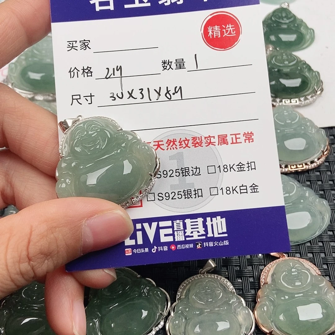 翡翠银S925镶嵌颈饰