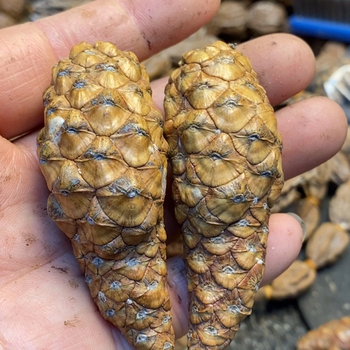 火***狸吊坠桃核娜姐真的15