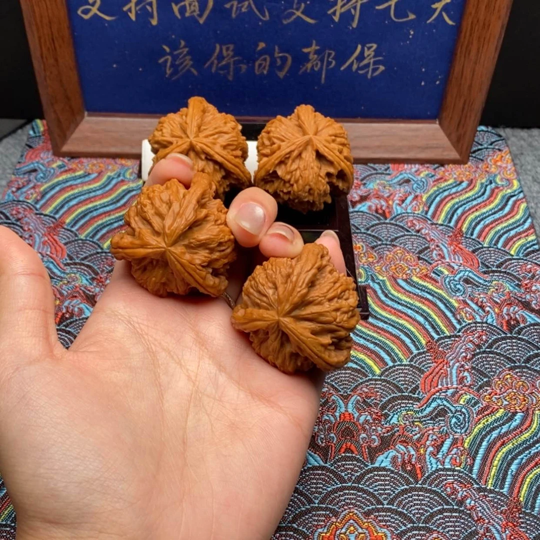 【闪购商品】小*白狮