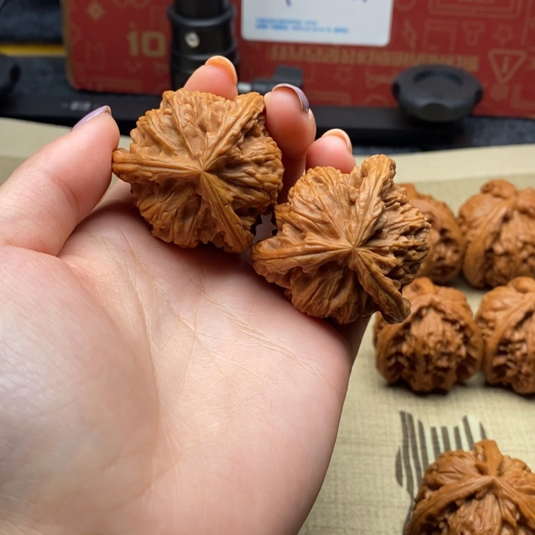 高**龙白狮子1111111111