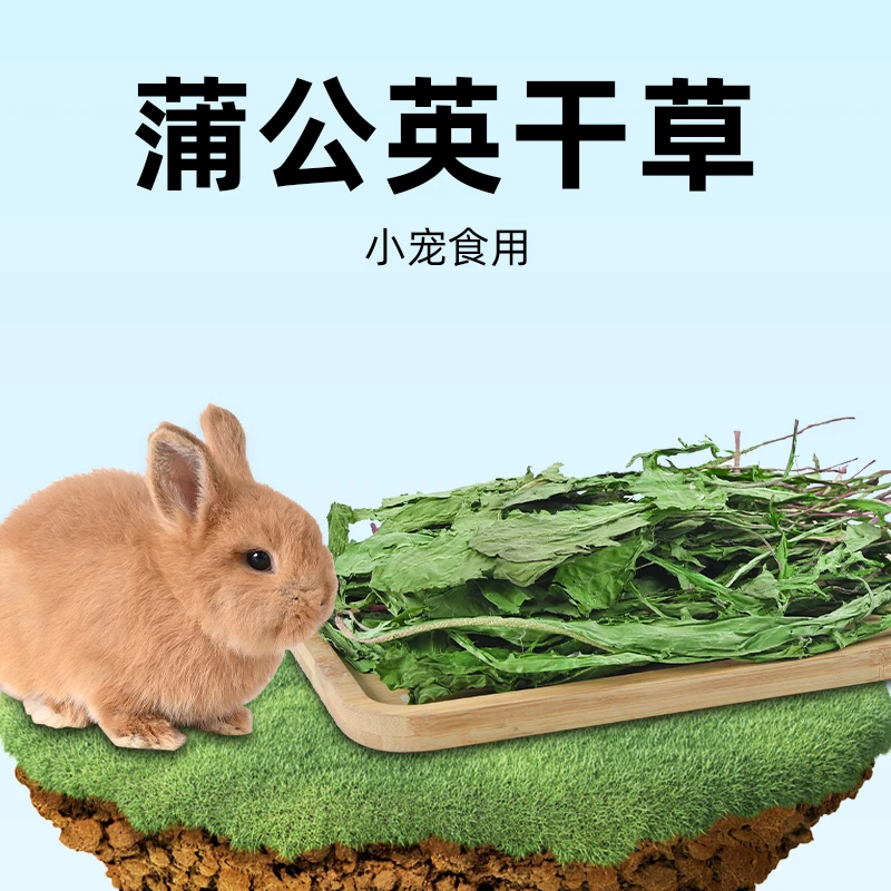 蒲公英干草兔子荷兰猪龙猫保健草500g