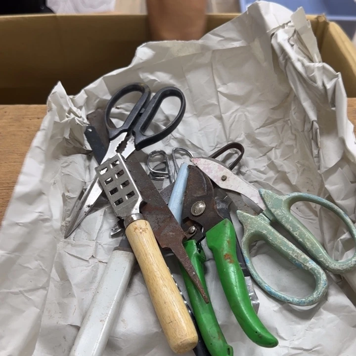 云***龙哈哈哈哈哈哈哈哈哈哈哈