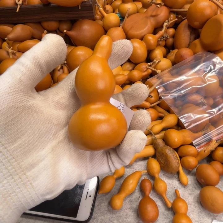 钿甜甜的一把本鸟钱大葫芦