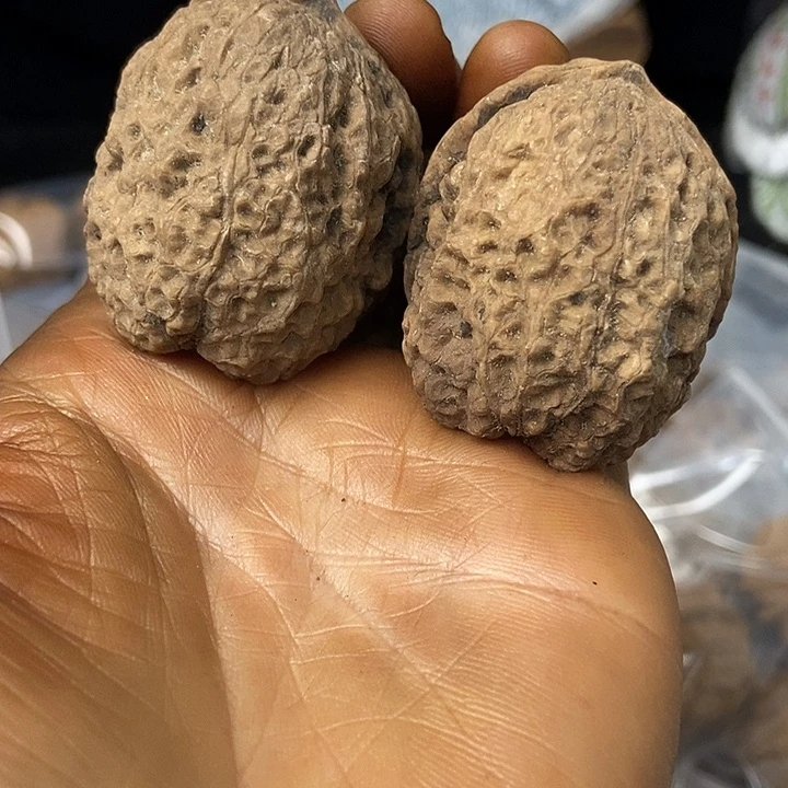 把件文玩核桃云南铁核桃基地72