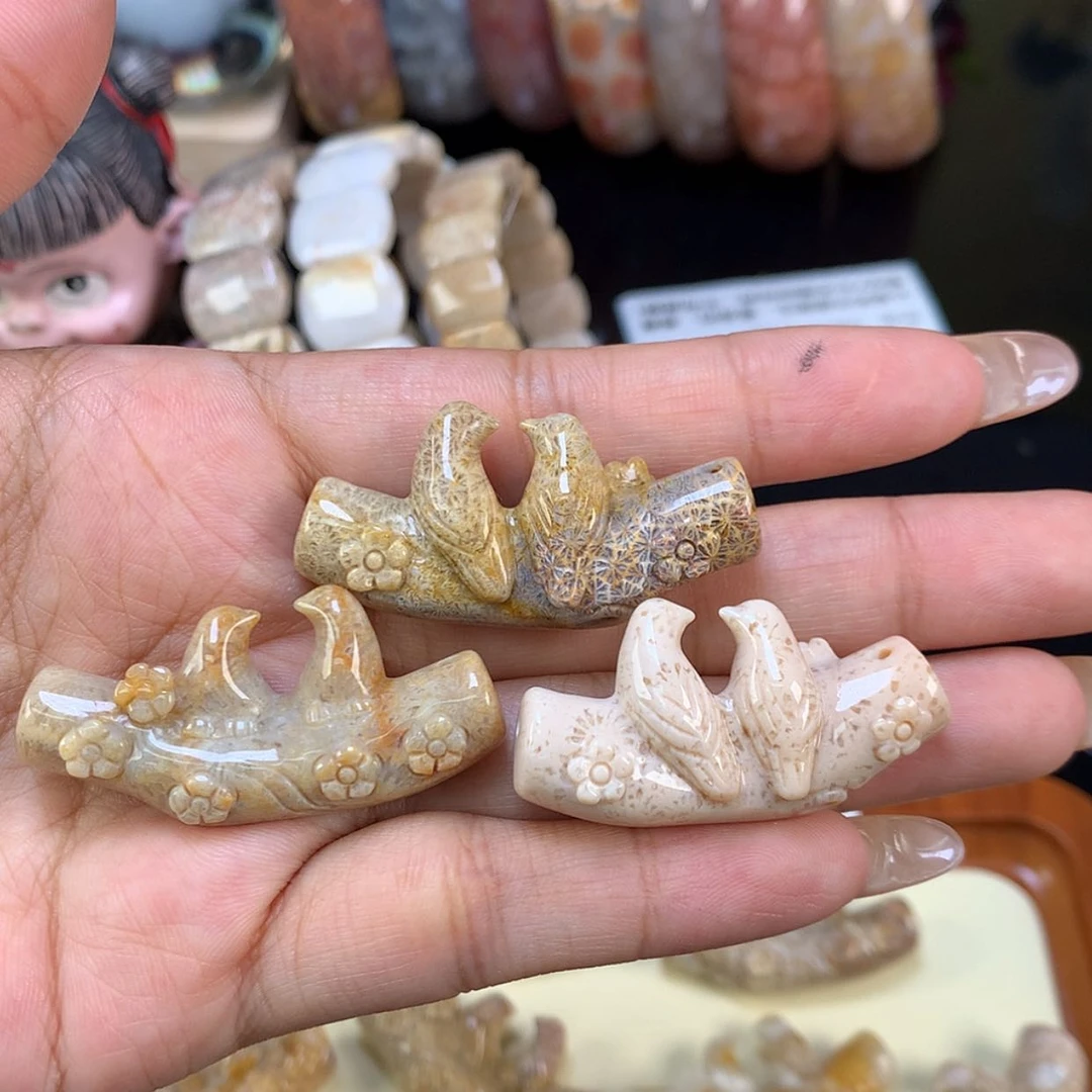 【闪购商品】颈饰未镶嵌硅化珊瑚（珊瑚玉）迷***人