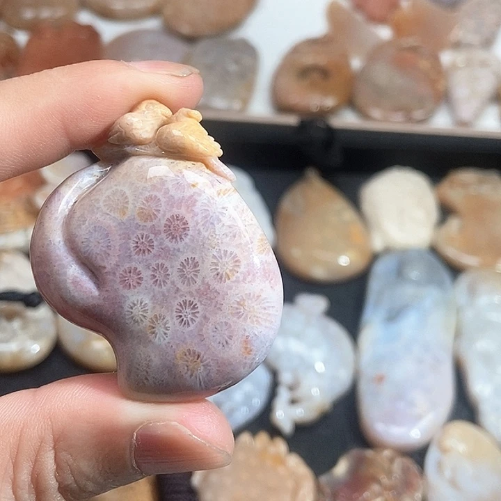 硅化珊瑚（珊瑚玉）未镶嵌颈饰