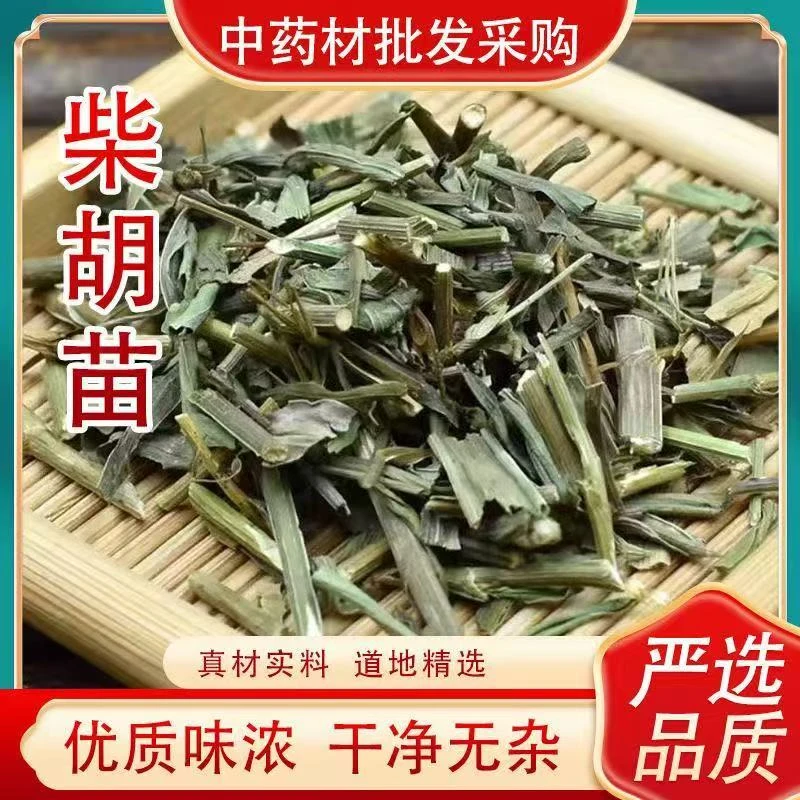 【柴胡苗 】中药材硬苗小柴胡苗 北柴胡苗香柴胡叶子