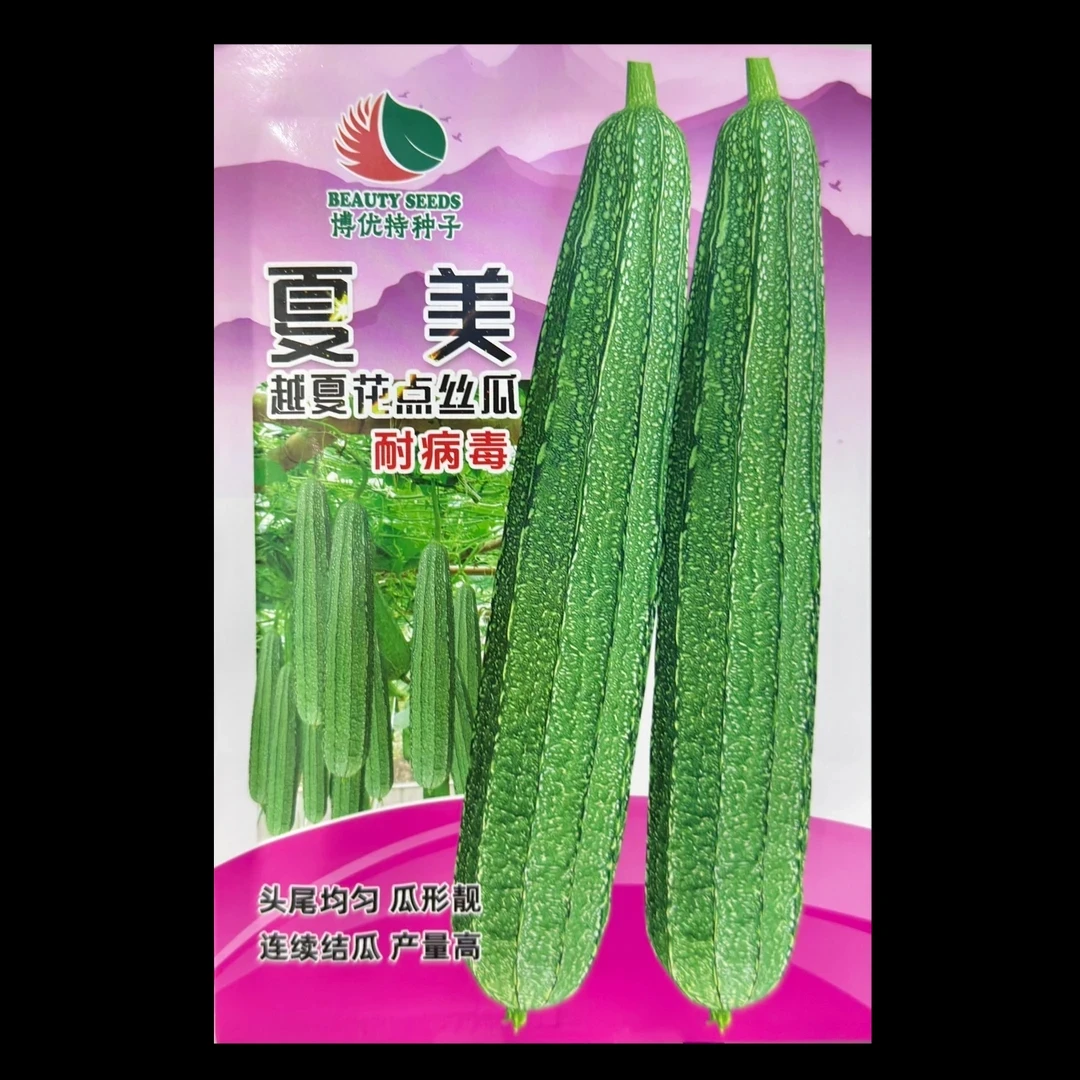 夏美耐高温耐病毒丝瓜种子农作物摘期长30几天节节有瓜