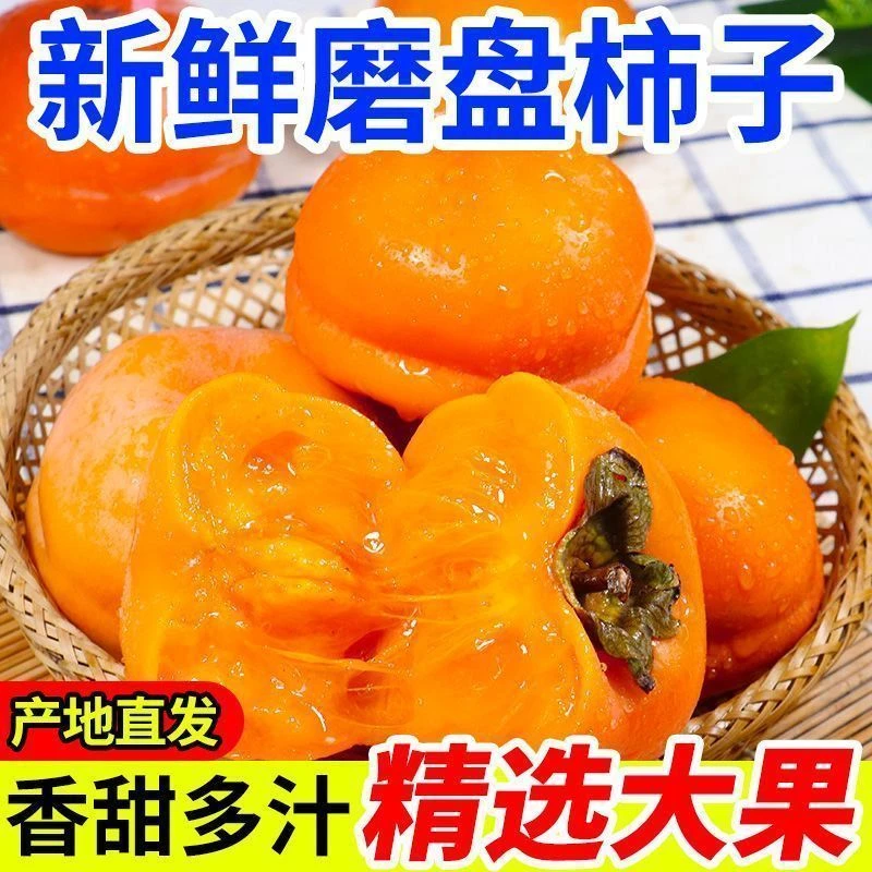 河北保定正宗磨盘柿子放软吃爆甜多汁涩柿子放软吃非火晶柿子