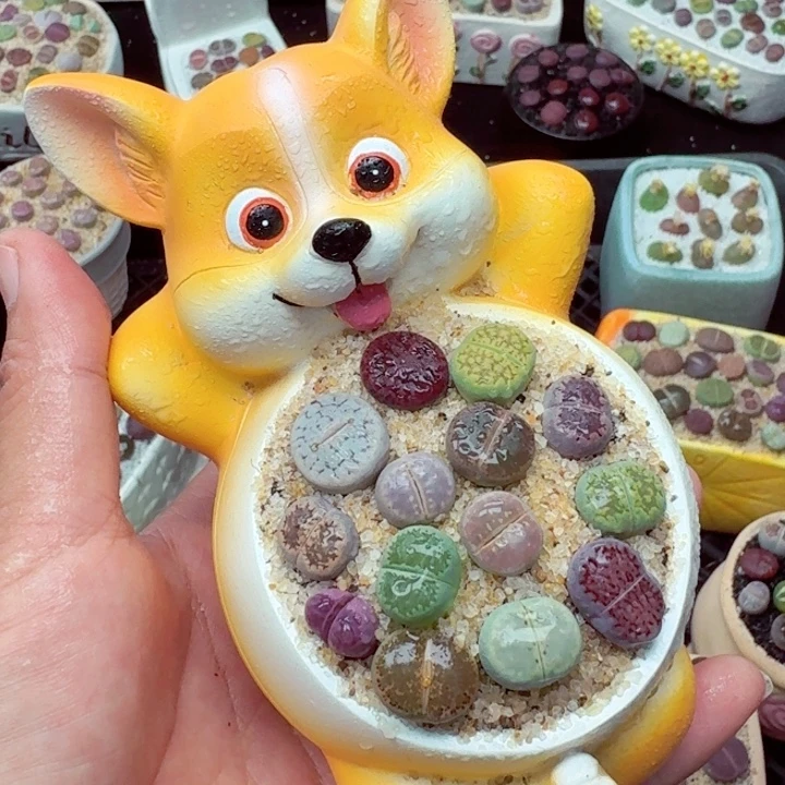 零下地区记得拍保温箱8002