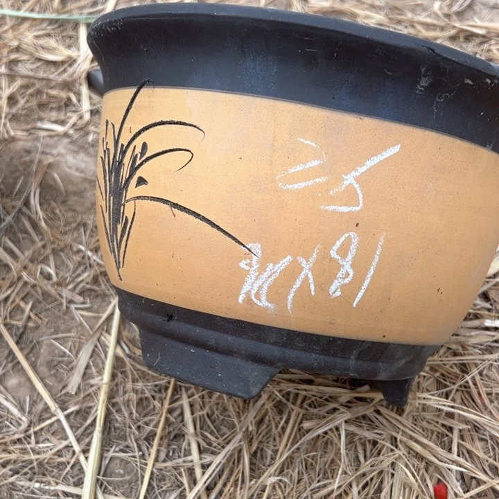 红陶紫砂碗盆口26