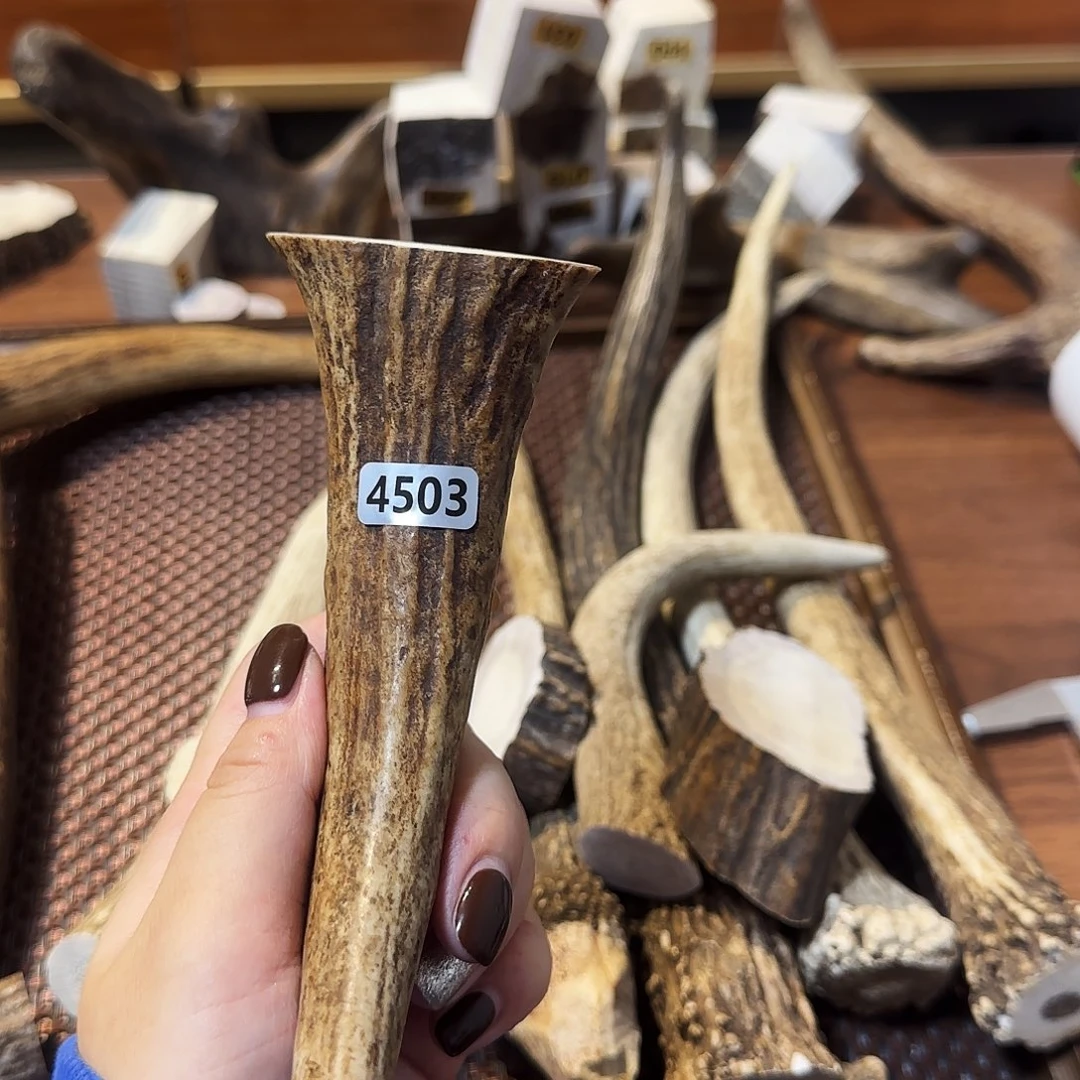 手串/手链鹿骨4503尖