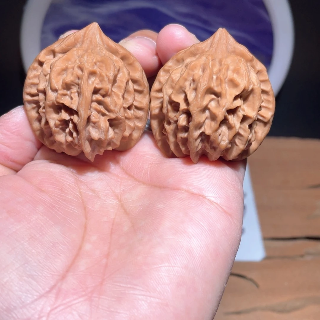 S025 40尺 大龙 全