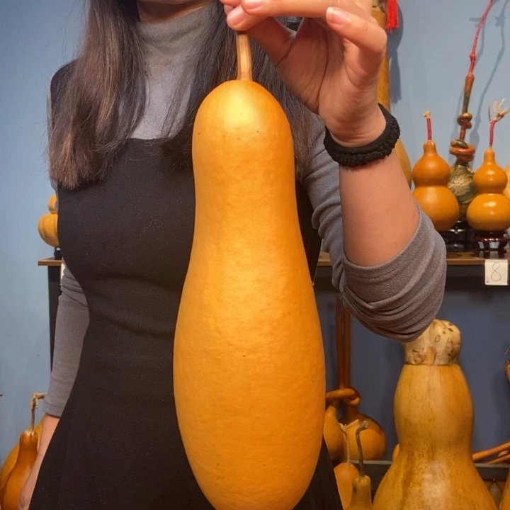 在下月举行议会下院和总统