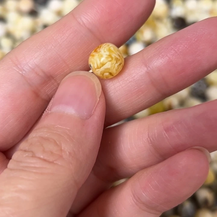 蜜蜡未镶嵌裸石9mm一个