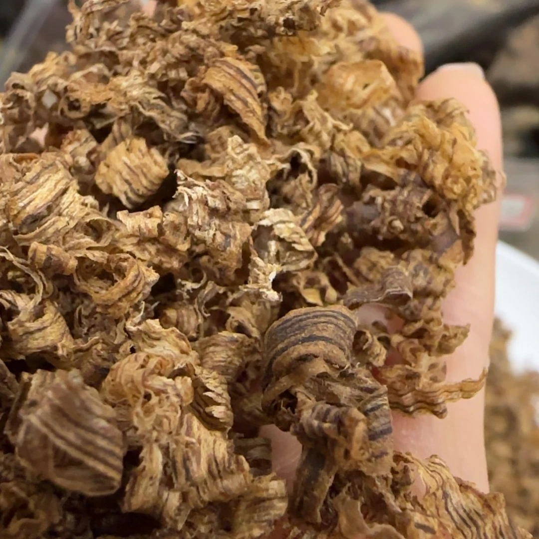 沉香木摆件意****H海南野沉香特等级黄棋丝料5