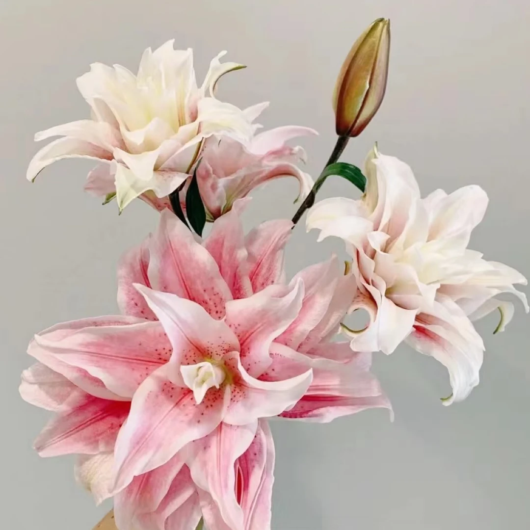 【香羿鲜花】重瓣百合微开颜色略有差异3支共6-8花苞，花苞小