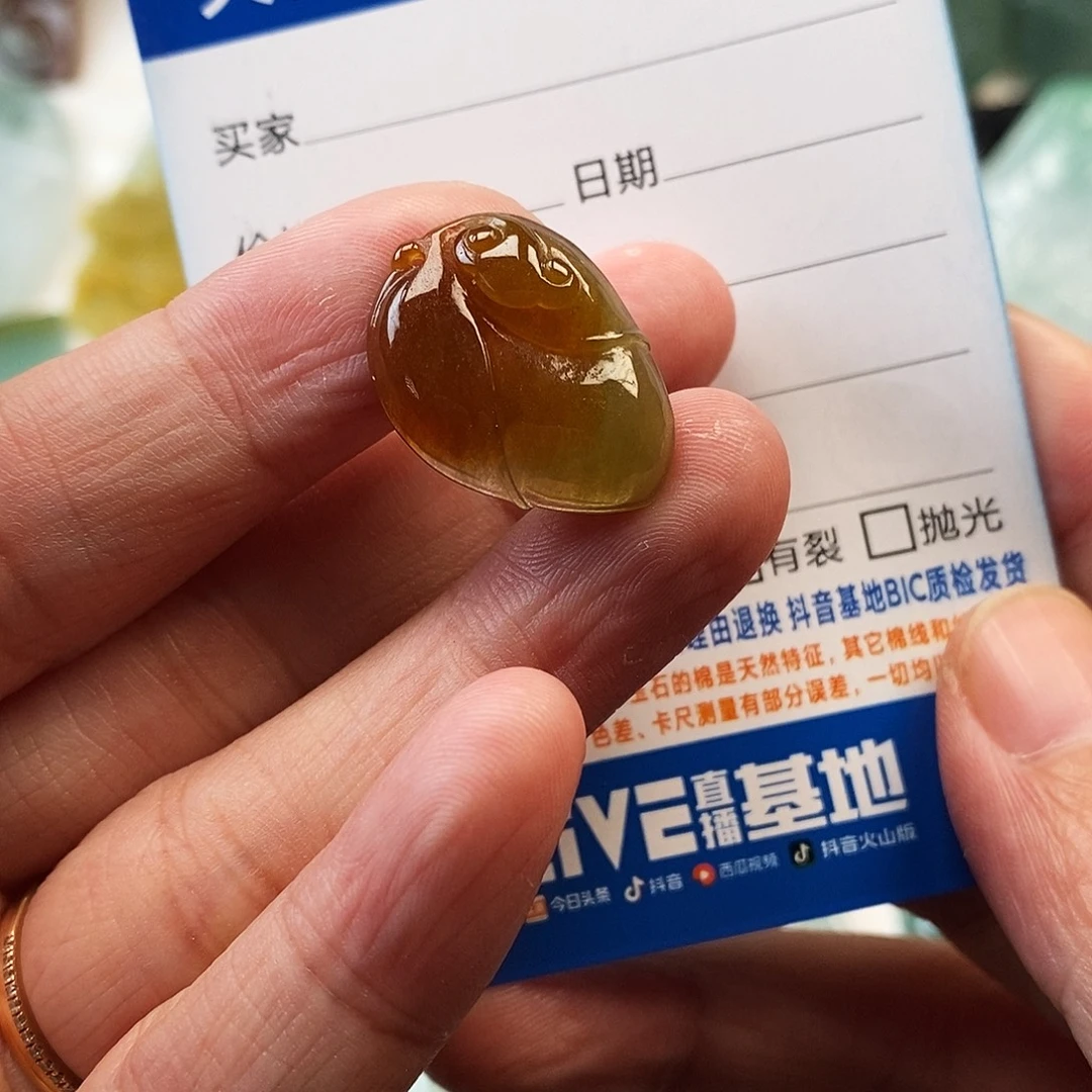 翡翠未镶嵌颈饰叶子