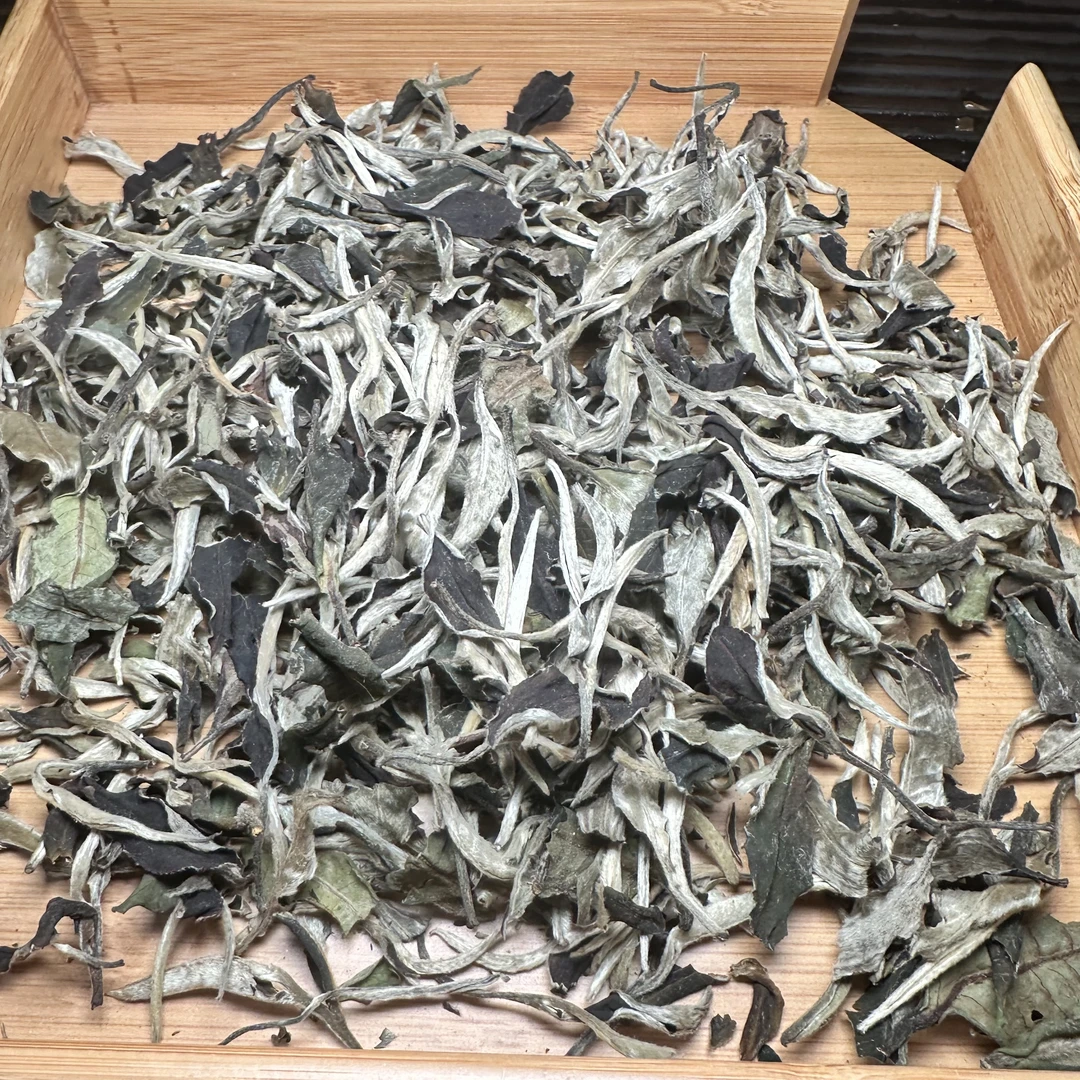 【熙春茶业】2022年景谷秧塔月光白牡丹王（1月3号）Z